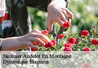 Jardinier  andelot-en-montagne-39110 Dynamique Elagueur