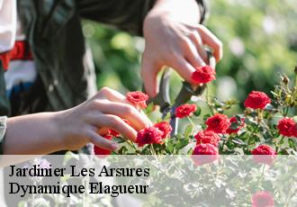 Jardinier  les-arsures-39600 Dynamique Elagueur