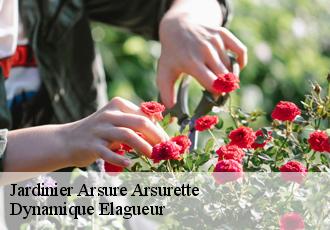 Jardinier  arsure-arsurette-39250 Dynamique Elagueur