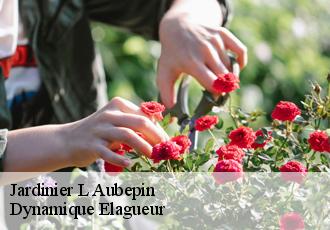 Jardinier  l-aubepin-39160 Dynamique Elagueur