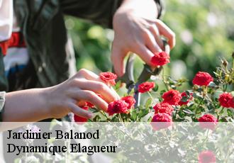 Jardinier  balanod-39160 Dynamique Elagueur