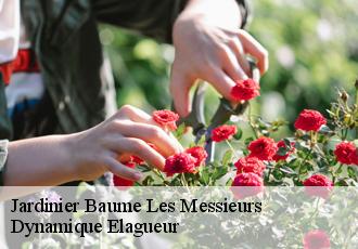 Jardinier  baume-les-messieurs-39210 Dynamique Elagueur