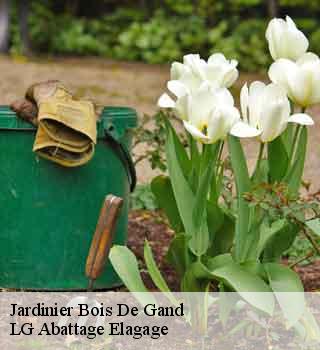Jardinier bois-de-gand-39230 LG Abattage Elagage