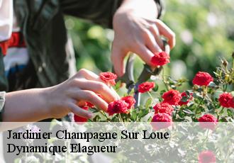 Jardinier  champagne-sur-loue-39600 Dynamique Elagueur