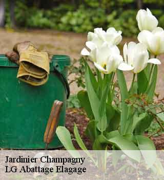 Jardinier  champagny-39110 LG Abattage Elagage 