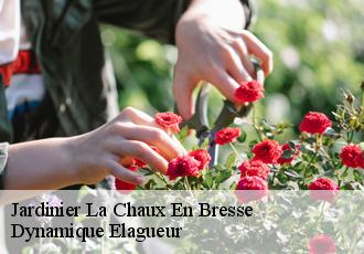 Jardinier  la-chaux-en-bresse-39230 Dynamique Elagueur