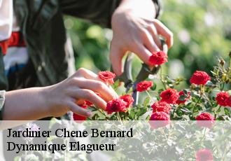 Jardinier  chene-bernard-39120 Dynamique Elagueur