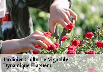 Jardinier  chilly-le-vignoble-39570 Dynamique Elagueur