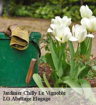 Jardinier  chilly-le-vignoble-39570 LG Abattage Elagage 