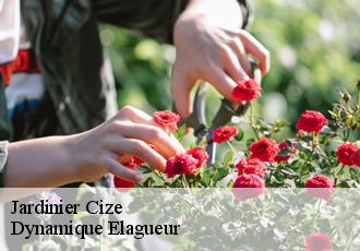 Jardinier  cize-39300 Dynamique Elagueur