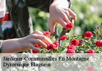 Jardinier  communailles-en-montagne-39250 Dynamique Elagueur