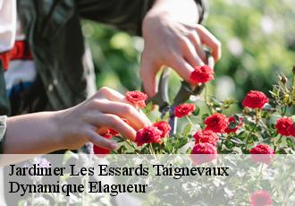 Jardinier  les-essards-taignevaux-39120 Dynamique Elagueur