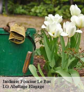 Jardinier  foncine-le-bas-39520 LG Abattage Elagage 
