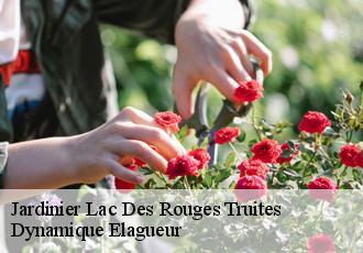 Jardinier  lac-des-rouges-truites-39150 Dynamique Elagueur