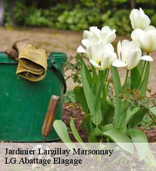 Jardinier  largillay-marsonnay-39130 LG Abattage Elagage 
