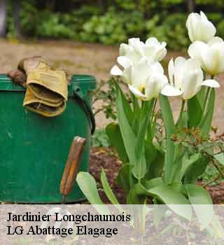 Jardinier  longchaumois-39400 LG Abattage Elagage 