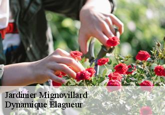 Jardinier  mignovillard-39250 Dynamique Elagueur