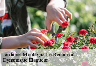 Jardinier  montagna-le-reconduit-39160 Dynamique Elagueur