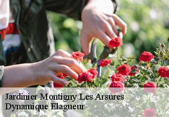 Jardinier  montigny-les-arsures-39600 Dynamique Elagueur
