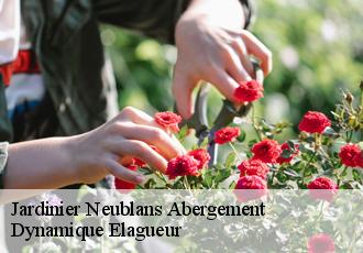 Jardinier  neublans-abergement-39120 Dynamique Elagueur