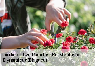 Jardinier  les-planches-en-montagne-39150 Dynamique Elagueur