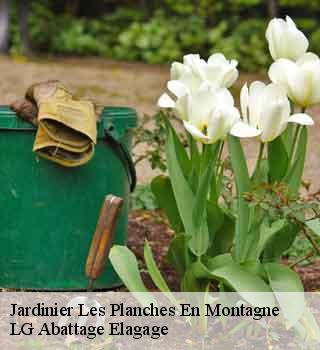 Jardinier  les-planches-en-montagne-39150 LG Abattage Elagage 