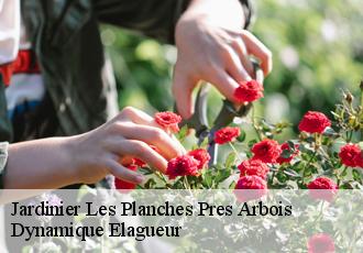Jardinier  les-planches-pres-arbois-39600 Dynamique Elagueur