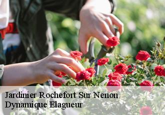 Jardinier  rochefort-sur-nenon-39700 Dynamique Elagueur