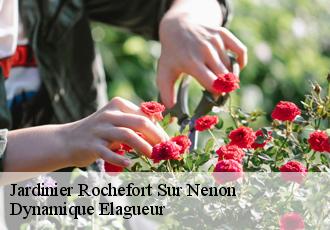Jardinier rochefort-sur-nenon-39700 Dynamique Elagueur