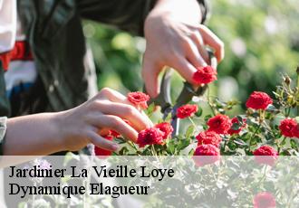 Jardinier la-vieille-loye-39380 Dynamique Elagueur