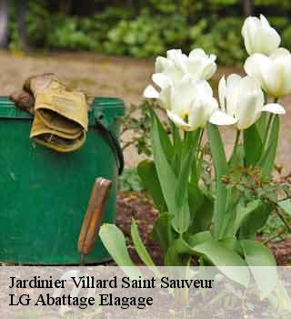 Jardinier  villard-saint-sauveur-39200 LG Abattage Elagage 