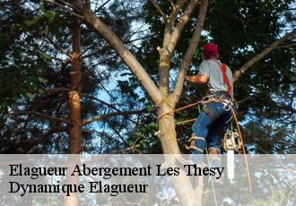 Elagueur  abergement-les-thesy-39110 Dynamique Elagueur