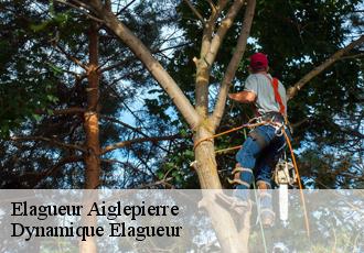 Elagueur  aiglepierre-39110 Johann Elagage 39