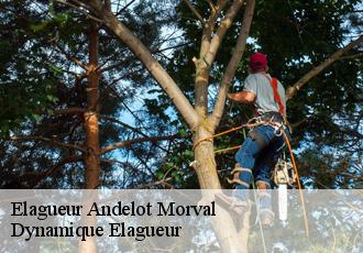 Elagueur  andelot-morval-39320 Johann Elagage 39