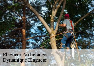 Elagueur  archelange-39290 Dynamique Elagueur