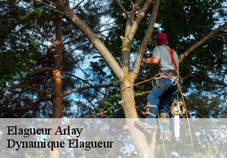 Elagueur  arlay-39140 Dynamique Elagueur