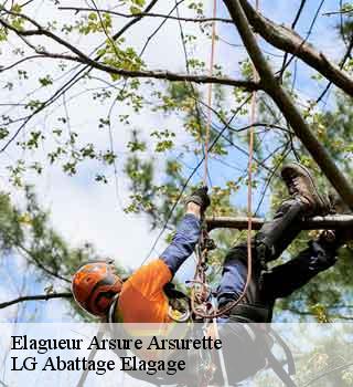 Elagueur arsure-arsurette-39250 LG Abattage Elagage