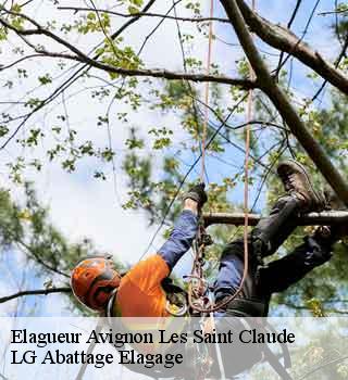Elagueur  avignon-les-saint-claude-39200 LG Abattage Elagage 