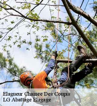 Elagueur chainee-des-coupis-39120 LG Abattage Elagage