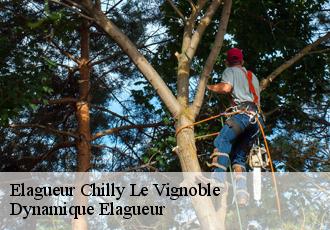 Elagueur  chilly-le-vignoble-39570 Johann Elagage 39
