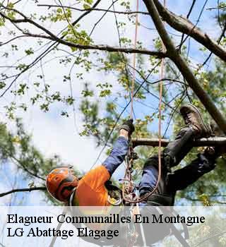 Elagueur communailles-en-montagne-39250 LG Abattage Elagage
