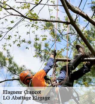 Elagueur crancot-39570 LG Abattage Elagage