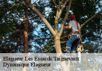 Elagueur  les-essards-taignevaux-39120 Johann Elagage 39