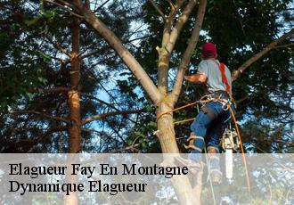 Elagueur  fay-en-montagne-39800 Dynamique Elagueur