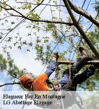 Elagueur fay-en-montagne-39800 LG Abattage Elagage
