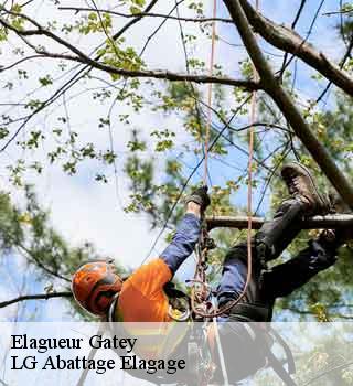 Elagueur  gatey-39120 LG Abattage Elagage 