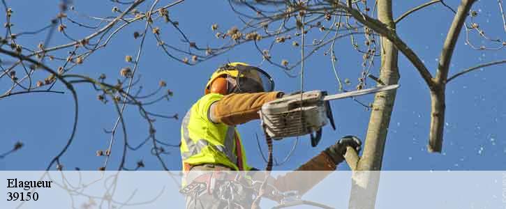 Elagueur 39150