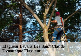 Elagueur  lavans-les-saint-claude-39170 Dynamique Elagueur