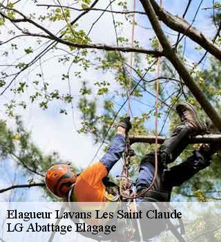 Elagueur  lavans-les-saint-claude-39170 LG Abattage Elagage 