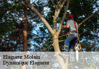 Elagueur  molain-39800 Johann Elagage 39